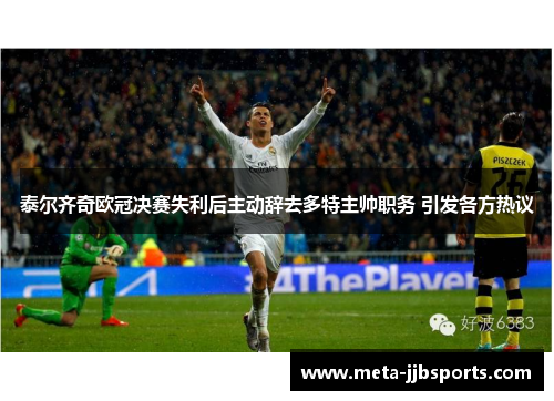 泰尔齐奇欧冠决赛失利后主动辞去多特主帅职务 引发各方热议 泰尔齐奇欧冠决赛失利后主动辞去多特主帅职务 引发各方热议